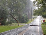 Storm damage fallen trees